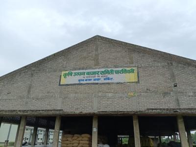Acution Shed 33