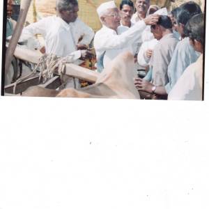 Scan_original
