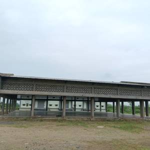 acution_shed_12_original
