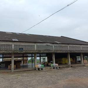 acution_shed_22_original