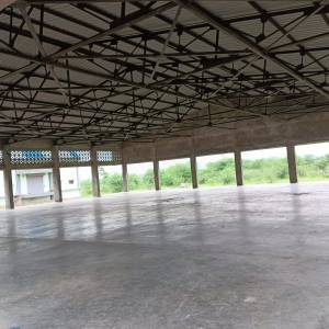 acution_shed_original